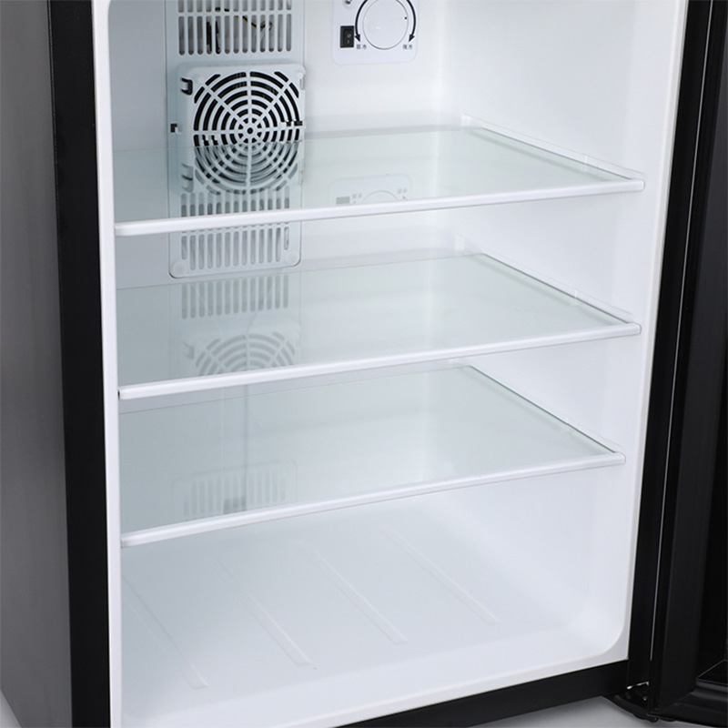 Mini Fridge Cooler 40L Refrige - Wine Beer Mini Fridge recension och pris