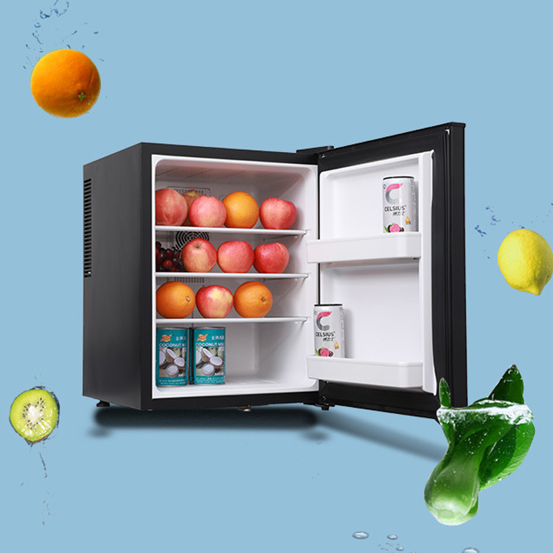 Mini Fridge Cooler 40L Refrige - Wine Beer Mini Fridge recension och pris