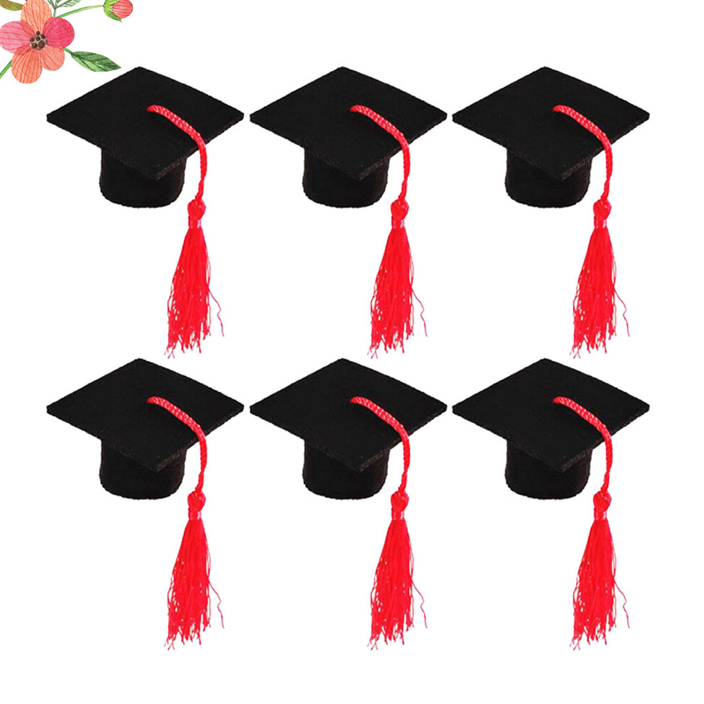 6Pcs Mini Doctoral Party Wine  - Wine Beer Festival recension och pris